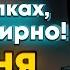 ПЕСНЯ Кофе в лапках ушки смирно Zenless Zone Zero Gay Remix