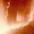 Wands Into The Earth Extended 10H Fantastic Beasts The Crimes Of Grindelwald