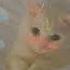 Billie Eilish Ocean Eyes Speed Up