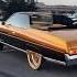 Candy Gold 71 Chevy Vert On Gold 24 S Daytons