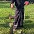 Process Of Singpho Phalap Singpho Tea Miao Arunachal Pradesh India