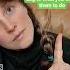 Telling Your Dog Off Dogbehaviorist Dogtrainer Dogtraining Dogtrainingtips Dog Hayling
