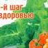 Разумное сыроедение 13 й шаг к здоровью Виктория Бутенко Аудиокнига