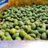 From Tando Allahyar To Karachi The Journey Of Sweet Mangoes