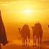 Desert Oud Arabian Music Meditation In Desert Arabian Oud Oud Mirage