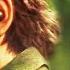I M WORRIED About Metal Gear Solid 3 Remake