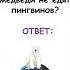 Загадка про белых медведей
