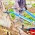 Watch Mulch Shields Potatoes From Weeds And The Red Harvester Unveils A Bumper Crop