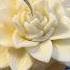 DIY Flower Candle Pt 2 Candle Candles Candlemaking Diy Candlebusiness Valentine Flowers