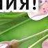 День рождения в МАЕ Поздравление с днём рождения в мае Открытка с днём рождения в мае
