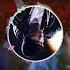 Ringtone For IPhone Therealslimshady Eminem Music