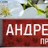 Выпуск 32 История заставок ток шоу Прямой эфир Андрей Малахов Прямой эфир