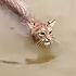 Man Saves A Drowning Bobcat Faces Horror When Bringing It Home