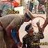 Police Vs Cobra Commandos Power Police Commando Indianarmy Military Parasf Army India