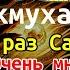 1000 раз Салават Очень много особенностей и секретов от чтения Салавата