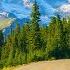 5K Scenic Roads Of Mount Rainier Area 7 HRS Drive Through Mountain Scenery