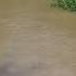 Tanosu Traditional Council Takes Steps To Protect Tano River Citi Newsroom