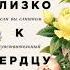 Илсе Санд Близко к сердцу Как жить если вы слишком чувствительный человек Аудиокнига