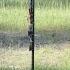 Lawrence County Burning Cross