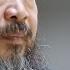 Ai Weiwei Sunflower Seeds Artist Interview Tate