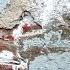 Wall Seepage Solution Wall Waterproofing Damp Wall Repair Tech Knowledge