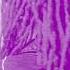 LIL KEED OH MY GOD Slowed