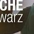 SCHILLER Avalanche With Schwarz Official Video