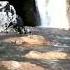 Sabri Waterfall Moolia Shorts Sabriwaterfall