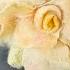 Wet Felt A Unique White Rose Using Judith S Magical Method
