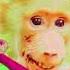 Tanboymiguel Cultshotta Everytime We Fvck Leak