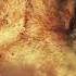 Lion Of Judah 4 Hour Warfare Music