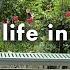 Living Alone In Japan Small Wins Familiar Tastes And A Drive Toward Summer