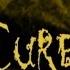 The Cure 1985 RARITAS Teatro Tenda Bussoladomini Lido Di Camaiore Italy