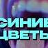 скоро весна а значит скоро будут синие цветы музыка 14февраля Music Rock Newmusic Edit