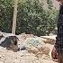 A Mother S Plea In The Mountains Shahrbanoo Turns To Fatemeh For A Sign Of Ali