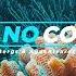 Luke Bergs AgusAlvarez Coral No Copyright Music