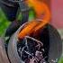 How To Avoid Squishing My Bees Pt 2 Bees Beekeeping Beekeeper Beehive Honeybees