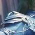 Throne Of Seal EP 161 163 Preview MULTI SUB