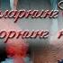 Анвар диктор туйида Ёр ёр садоси Кенжа Махмуд Умед Бахтиёр Улугбек Зиёдулло Шухрат