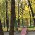 Осень в городском парке 2013 Fall In The City Park In 2013