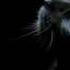 Akcent Stay With Me Mixet By S L Michel