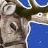 Reindeer For Kids Caribou Wild Animals Arctic Animals