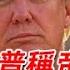 袁Sir聊总统叛国 川普称王 不是叛国是什么 Lifeano漫聊 250227