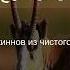 Коран Сура Ар Рахман 55 15 Чтение Корана с русским переводом Quran Translation In Russian