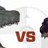 Legendary Godzilla Vs Shin Godzilla BATTLE FACE OFF In Depth Analysis