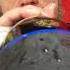 POV You Re The Champagne Bottle After The Panthers Just Won The Stanley Cup Again