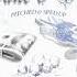 Bayymack Make A Wish Ft Ayesha Erotica Strgurrl Pitched Sped Up