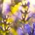 12 Hours Of Relaxing Music Piano Music For Stress Relief Sleep Music Meditation Music Margaret