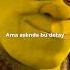 Shrek Filminde Bu Detayı Biliyor Muydunuz