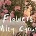 Flowers Miley Cyrus Sped Up